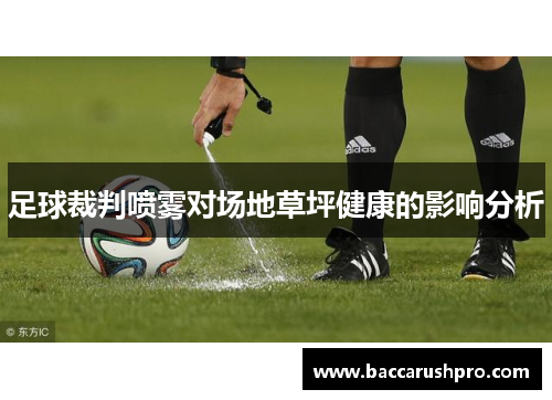 足球裁判喷雾对场地草坪健康的影响分析